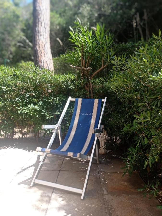 A Casa Di Ale Lägenhet Castiglione della Pescaia Exteriör bild